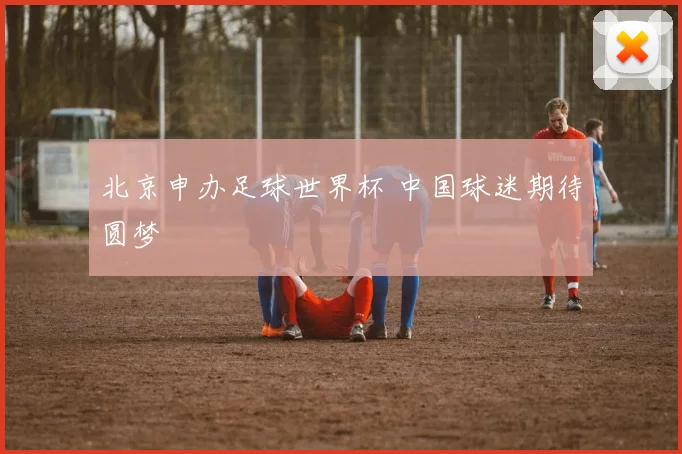 北京申办足球世界杯 中国球迷期待圆梦