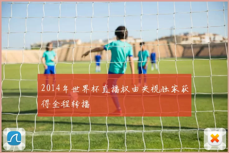 2014年世界杯直播权由央视独家获得全程转播