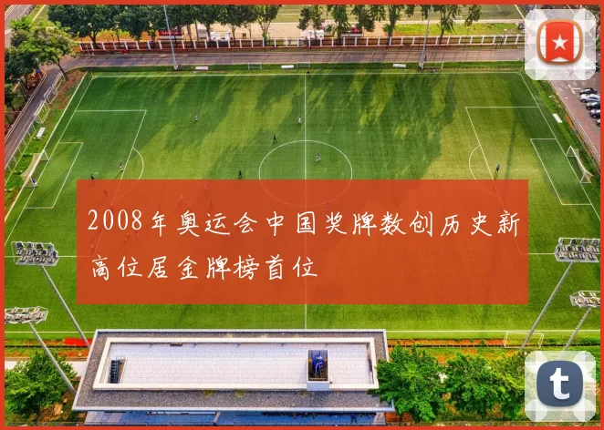 2008年奥运会中国奖牌数创历史新高位居金牌榜首位